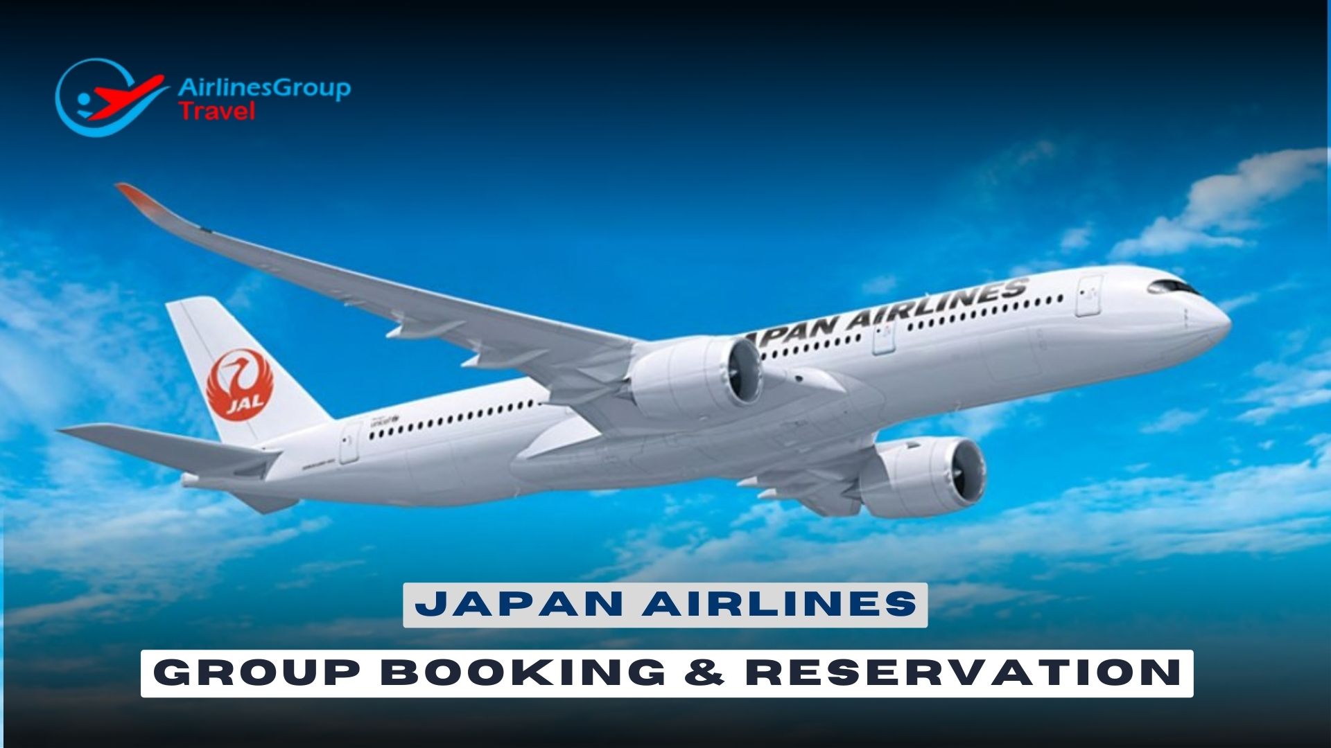 Japan Airlines Group Booking